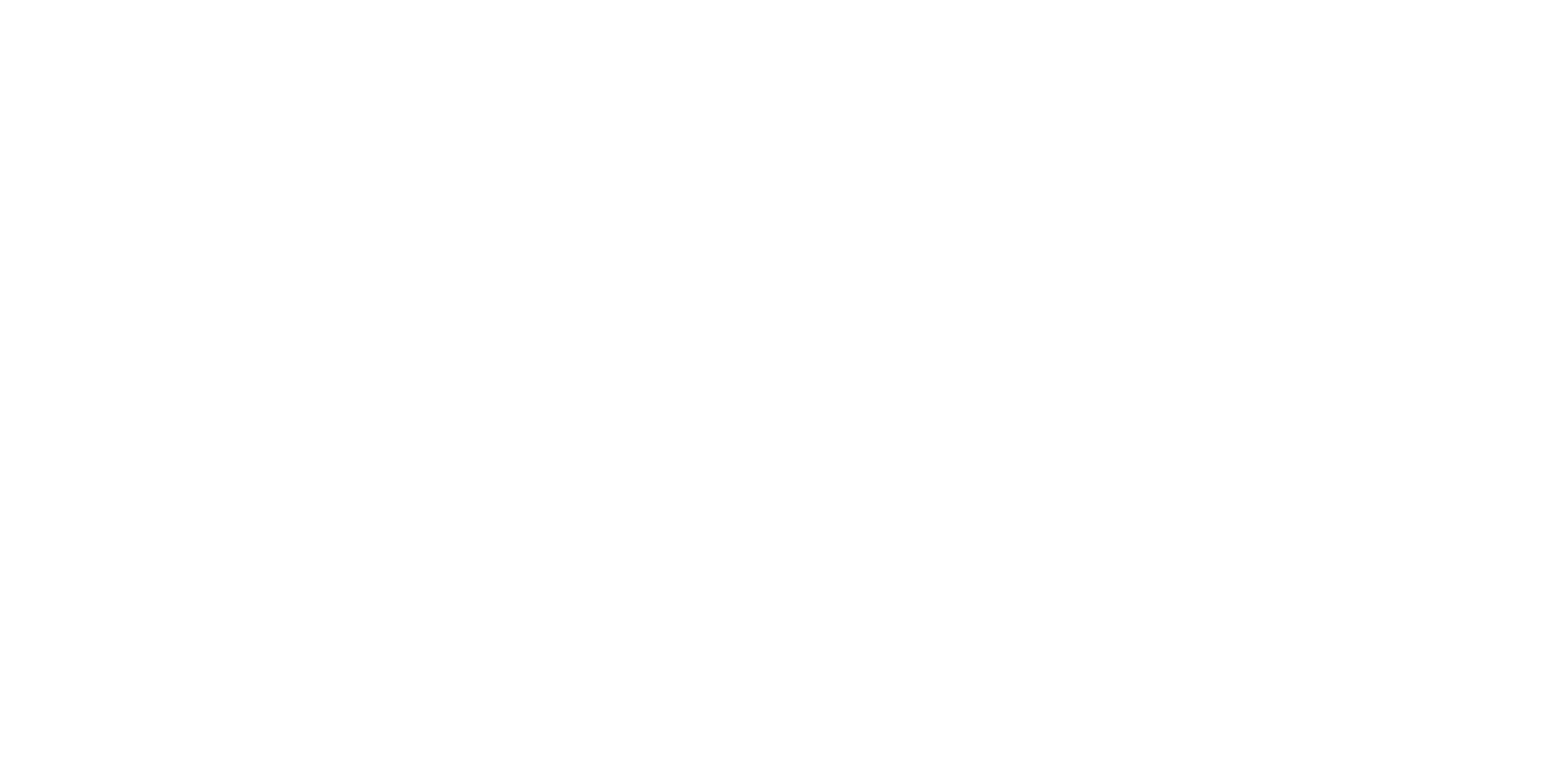 ESN- Erasmus Student Network